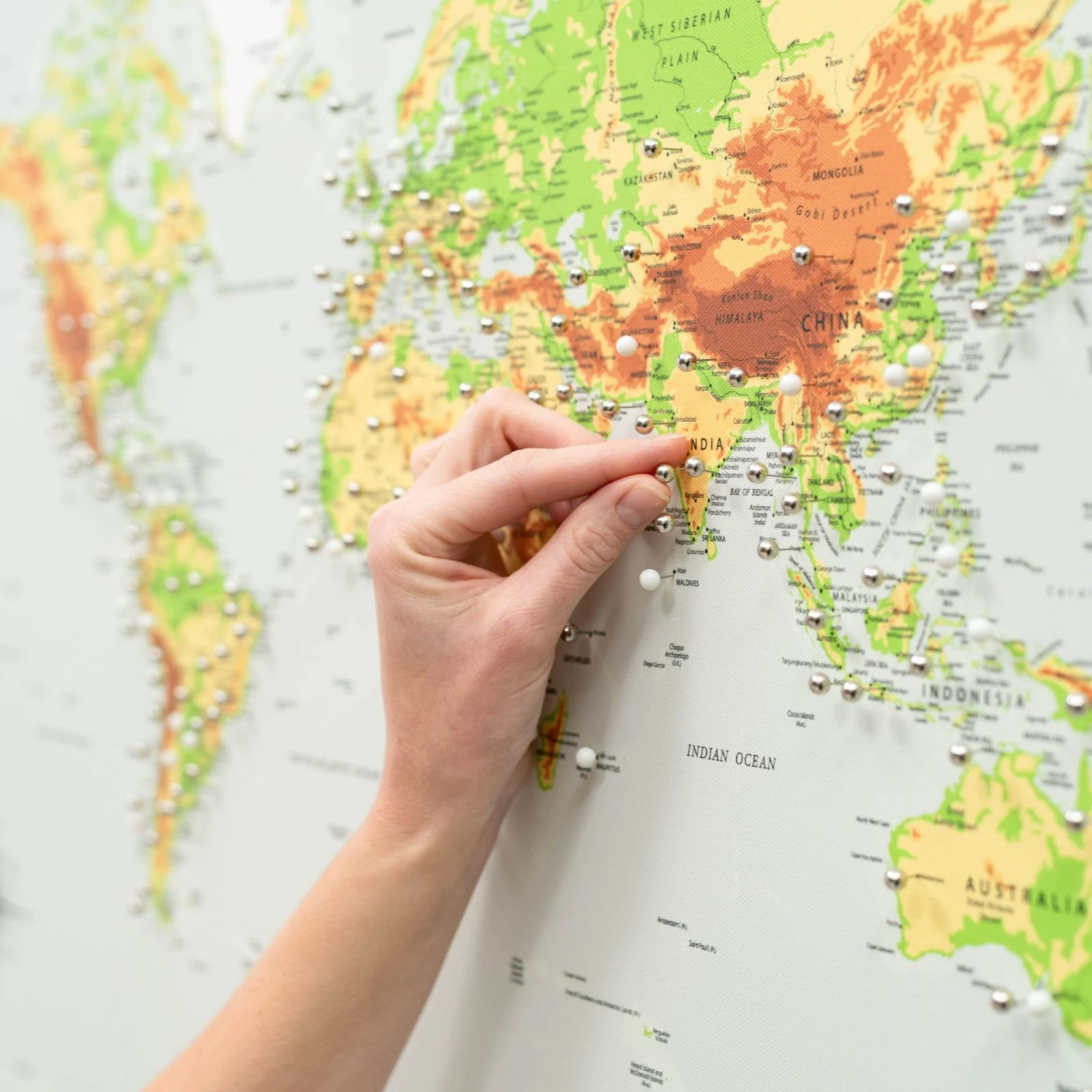 World Map on Canvas - Physical - Image 8